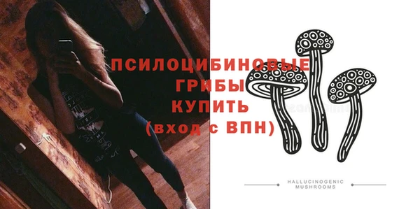 индика Абдулино