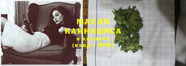 индика Абдулино