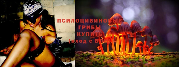индика Абдулино