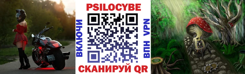 Псилоцибиновые грибы Psilocybe  Пойковский 